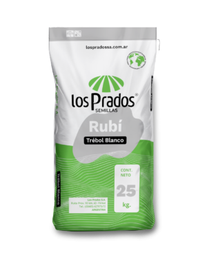 reducido-leguminosas-trebol-blanco-rubi reducido-leguminosas-trebol-blanco-rubi